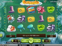 agua caliente blackjack